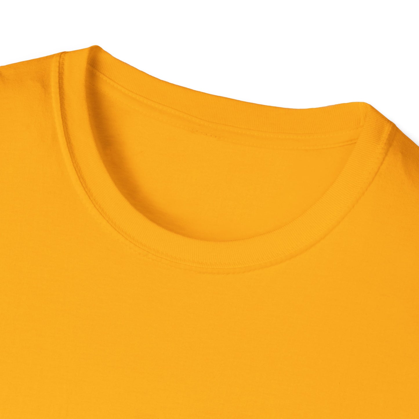 Unisex Softstyle T-Shirt_ N Series USSTS FT2WW011_ Limited Edition by WesternWaves: