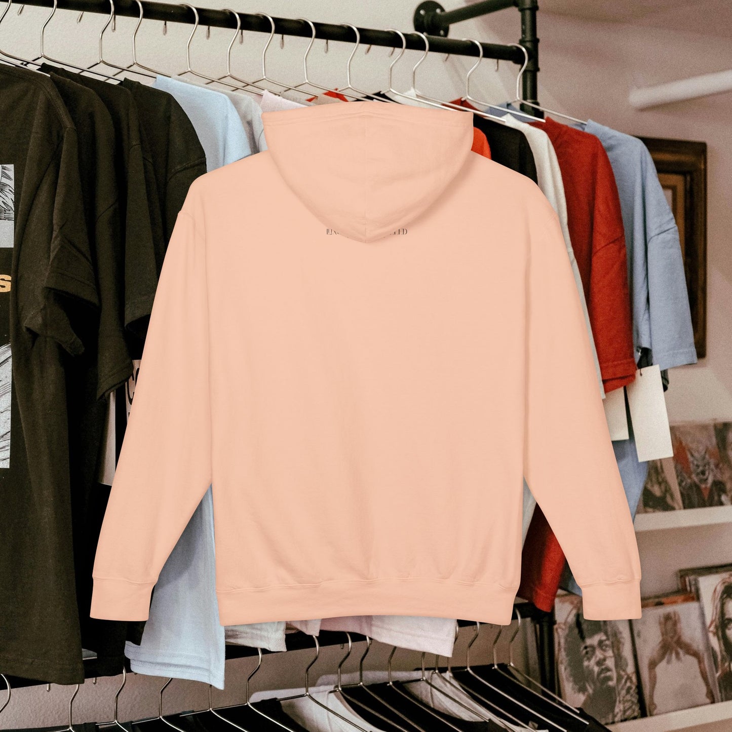 Unisex Lightweight Hooded Sweatshirt – N2+ Series USLWHSS PT2WW025_ Limited Edition Crafted Comfort by WesternWaves: